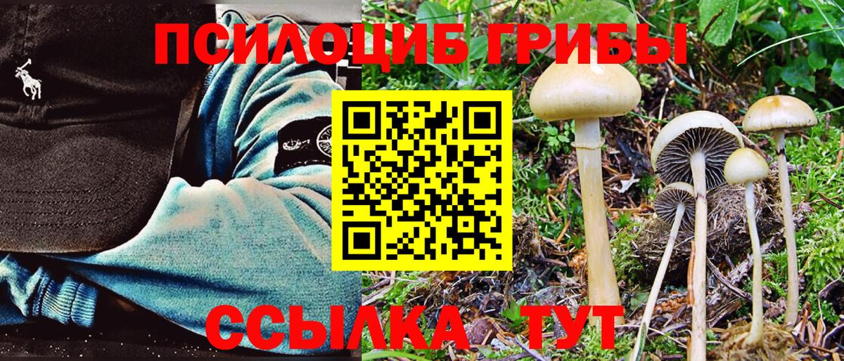 Калининград  Псилоцибиновые грибы Magic Shrooms  Вход с VPN  Псилоцибиновые грибы Cubensis 