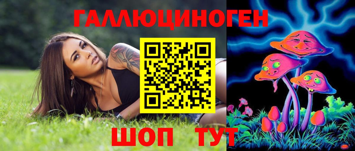 Галлюциногенные грибы Cubensis  Калининград 